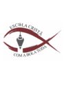 Escola de Futebol com a Bola Toda