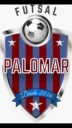 Escola de Futebo Palomar